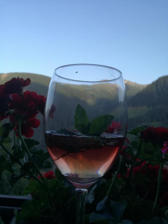 Bichlerhof Apartman Hopfgarten in Defereggen Kültér fotó